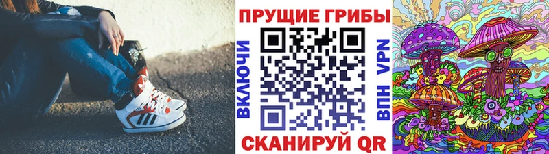Галлюциногенные грибы Psilocybe  Правдинск 